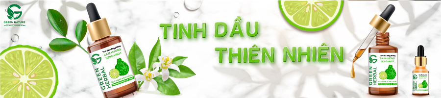 banner mo ta san pham thảo dược green herbal